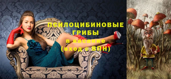 индика Абдулино