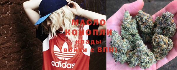 индика Абдулино