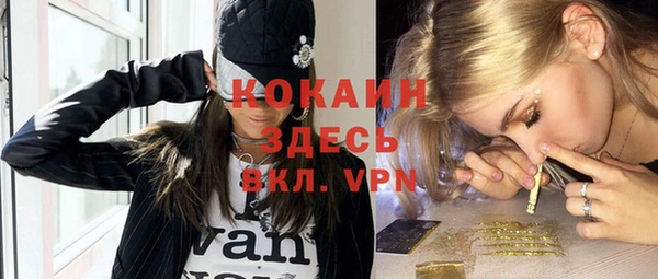 МДПВ Алзамай