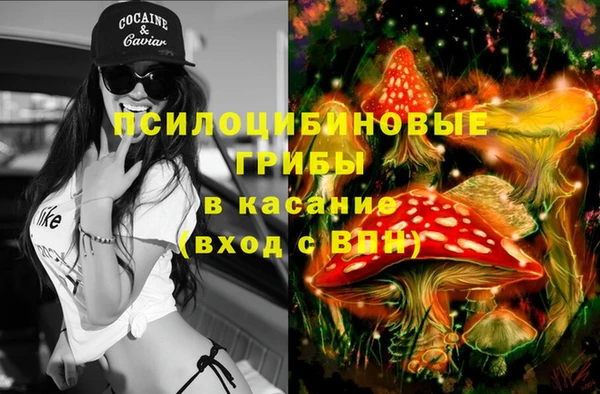 прущие крисы Алексеевка