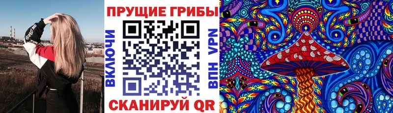 kraken маркетплейс  Каменка  Галлюциногенные грибы MAGIC MUSHROOMS  что такое наркотик 